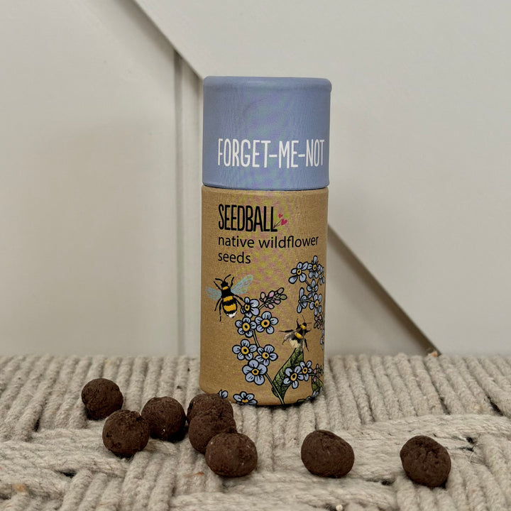 Wildflower Seedball Tube - Forget Me Not Seeds