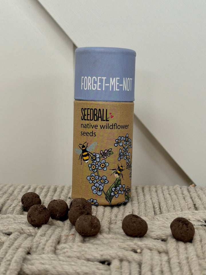 Wildflower Seedball Tube - Forget Me Not Seeds