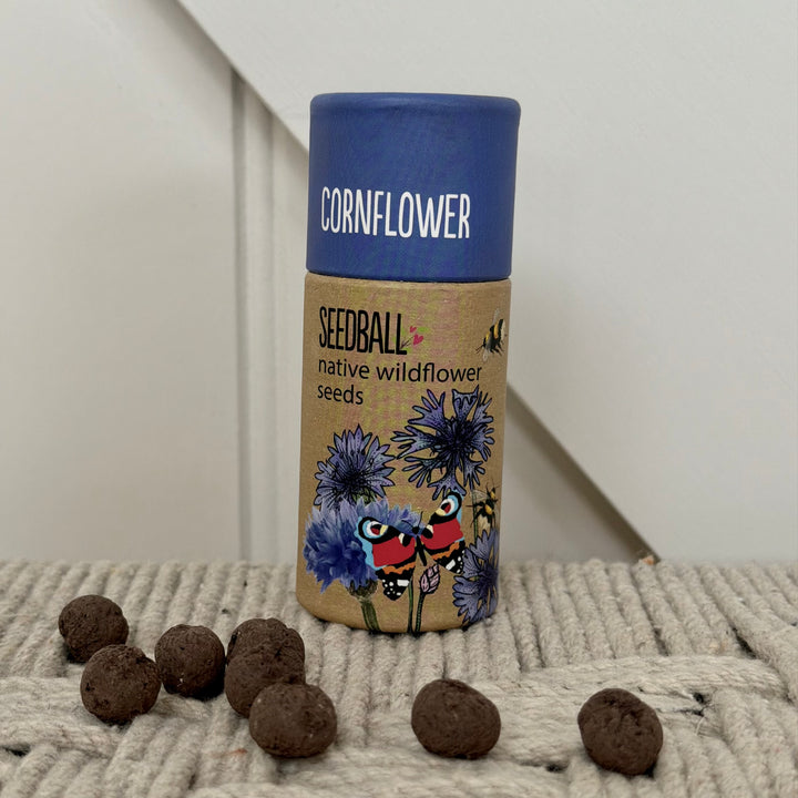 Wildflower Seedball Tube - Cornflower Seeds