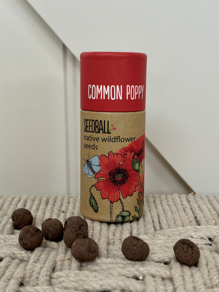 Wildflower Seedball Tube - Poppy Seeds