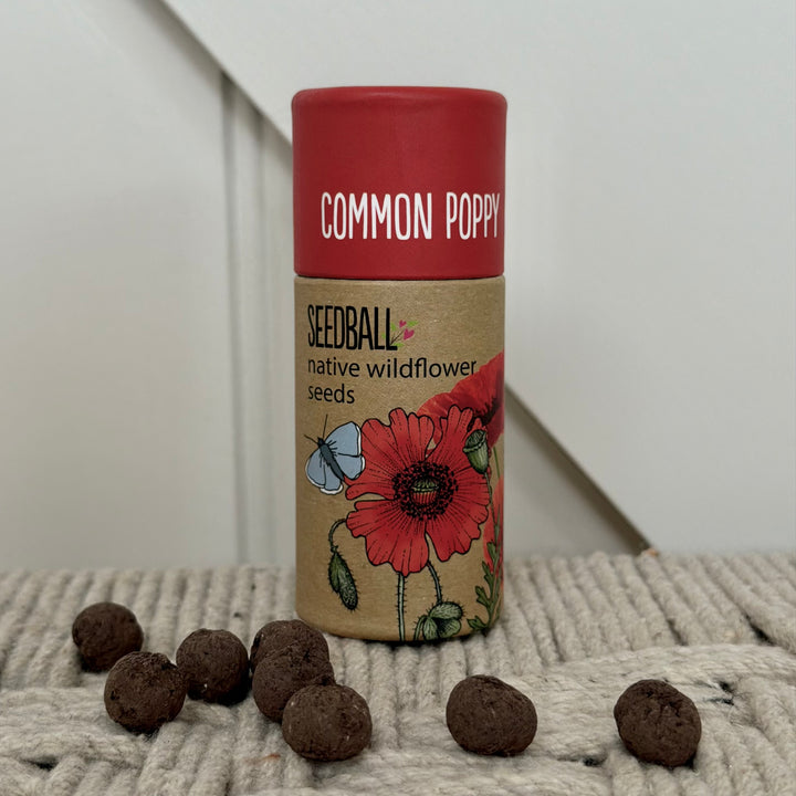 Wildflower Seedball Tube - Poppy Seeds