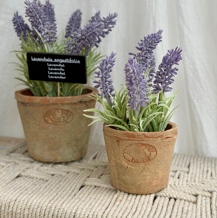 Artificial Lavender In Aged Terracotta Pot - Small