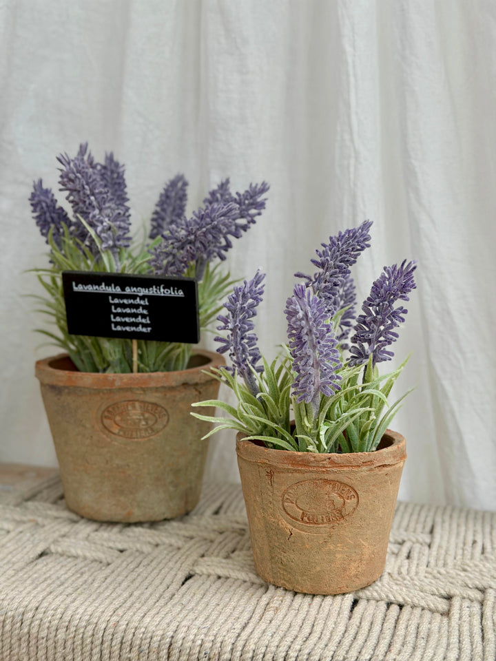 Artificial Lavender In Aged Terracotta Pot - Small
