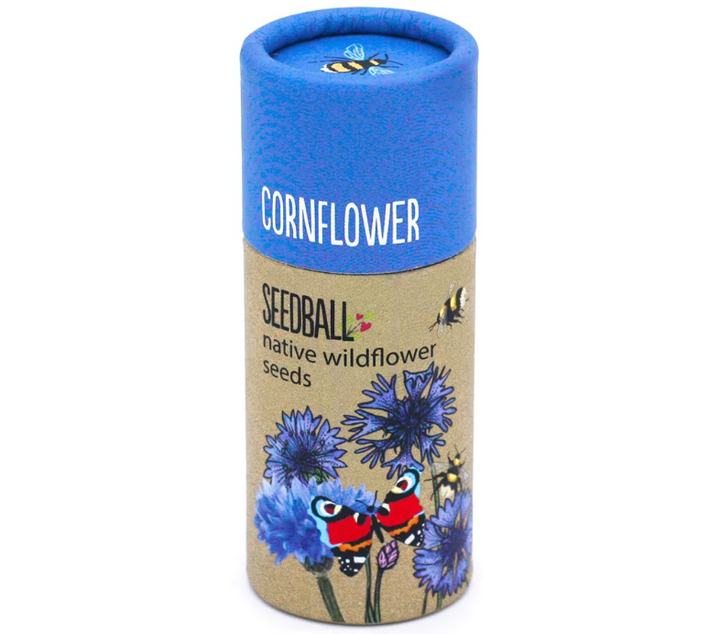 Wildflower Seedball Tube - Cornflower