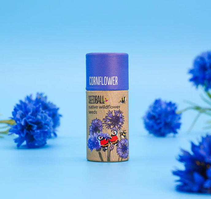 Wildflower Seedball Tube - Cornflower