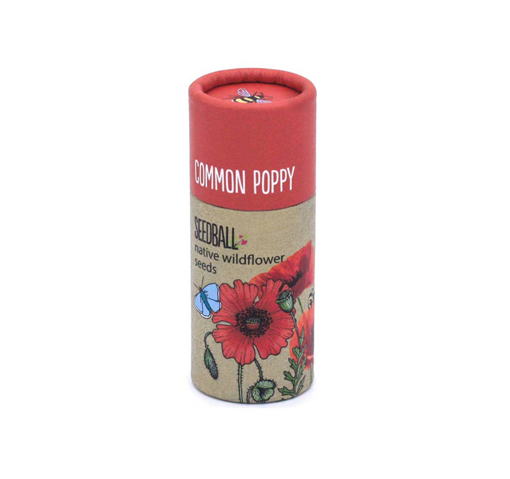 Wildflower Seedball Tube - Poppy