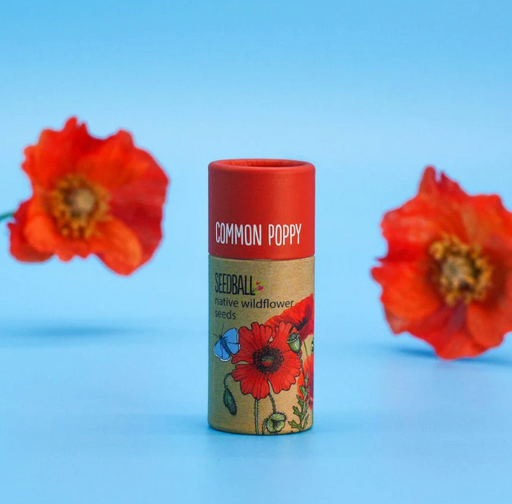 Wildflower Seedball Tube - Poppy