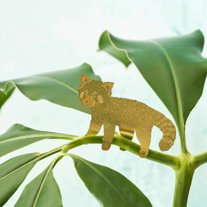 Another Studio - Red Panda - Plant Decoration