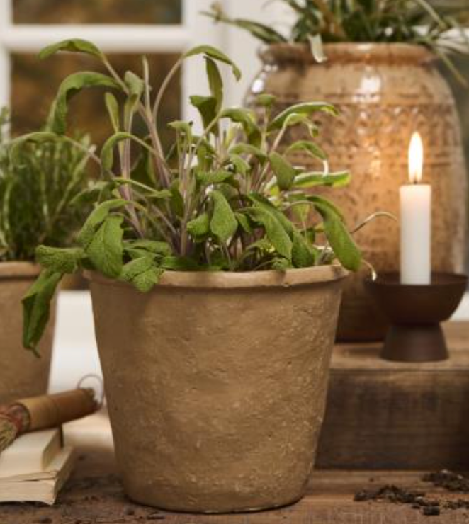 Rustic Plant Pot - Ceramic