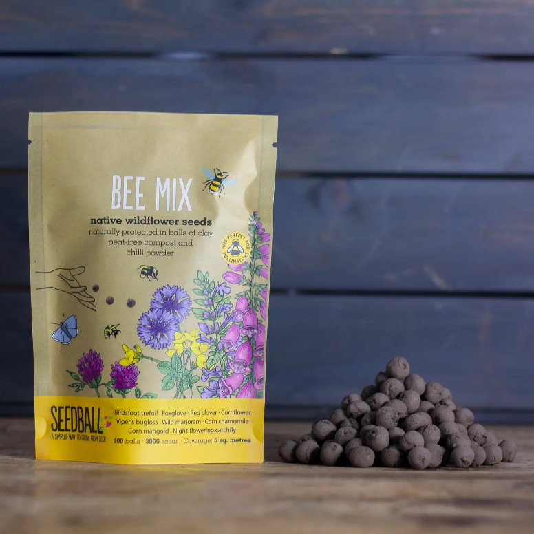 bags of wild flower seeds Seedball - Wildflower Grab Bags