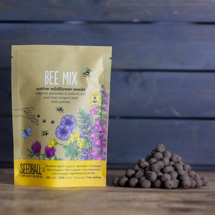 Seedball - Wildflower Grab Bags - Bee Mix