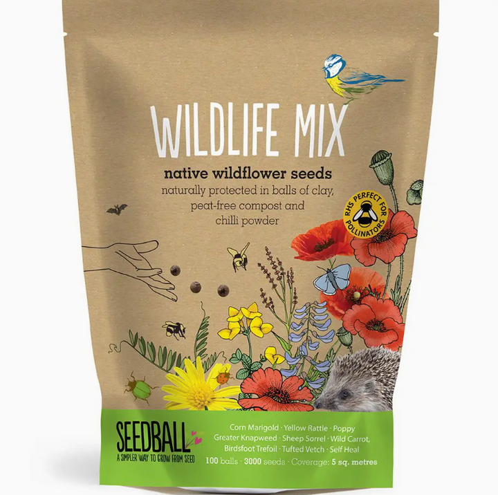 Seedball - Wildflower Grab Bags - Wildlife Mix