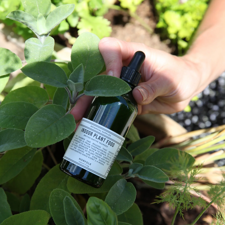 Norfolk Natural Living Indoor Plant Food