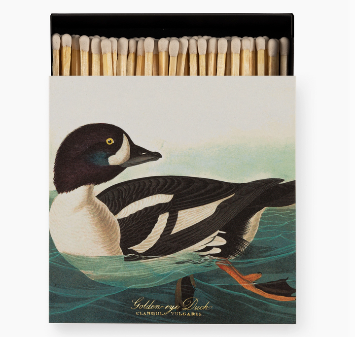 Archivist Gallery - Golden-Eye Duck - Large Matches