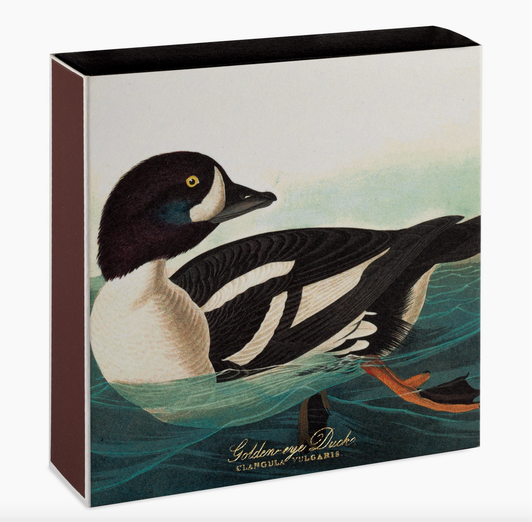 Archivist Gallery - Golden-Eye Duck - Large Matches