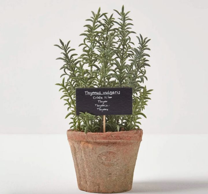 Artificial Thyme In Aged Terracotta Pot - Large