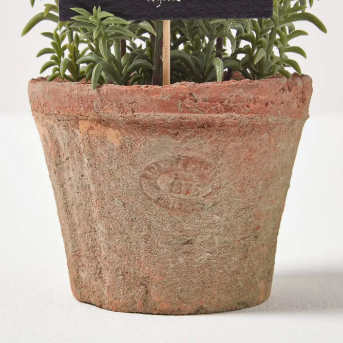 Artificial Thyme In Aged Terracotta Pot - Large