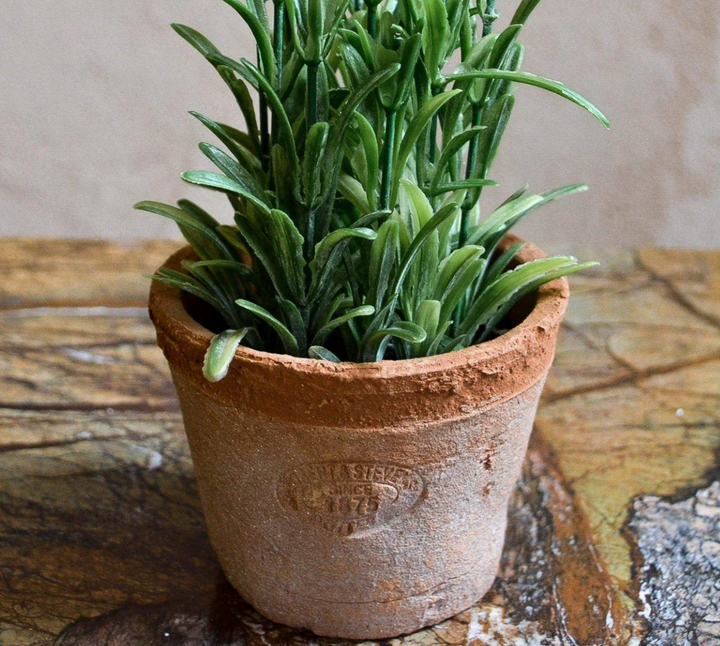 Artificial Rosemary Herb In Aged Terracotta Pot - Small