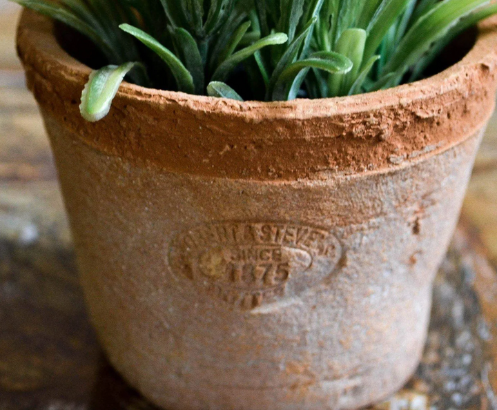 Artificial Rosemary Herb In Aged Terracotta Pot - Small