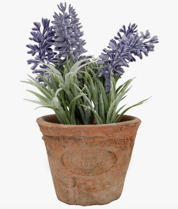 Artificial Lavender In Aged Terracotta Pot - Small
