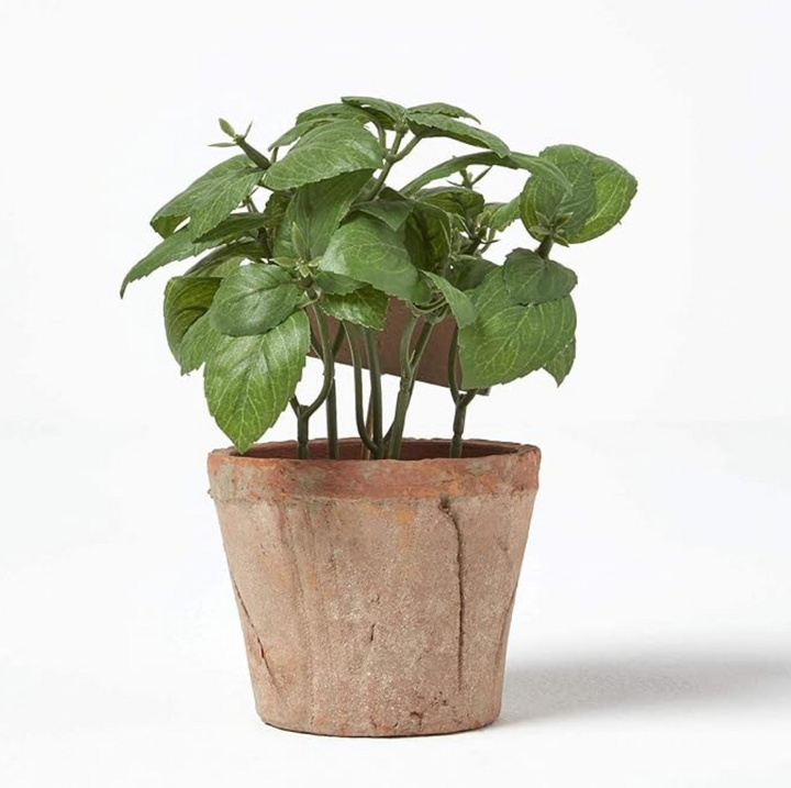 Artificial Basil Herb In Aged Terracotta Pot - Small