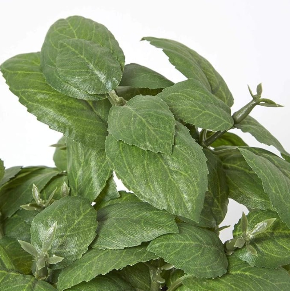 Artificial Basil Herb In Aged Terracotta Pot - Small