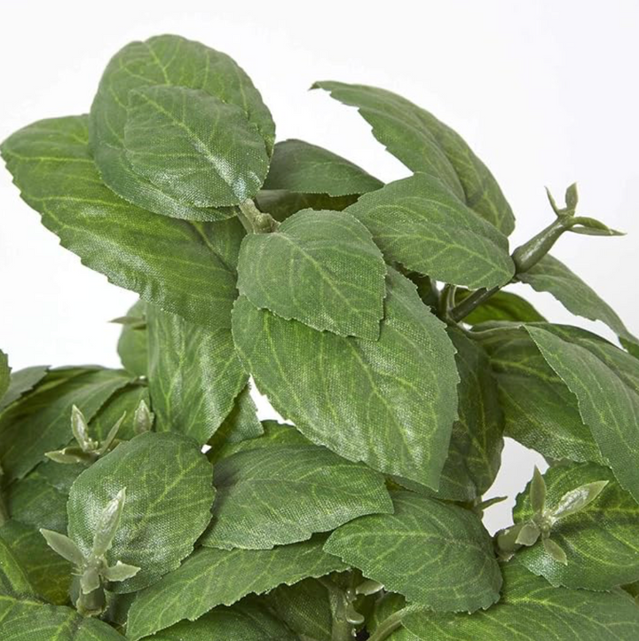 Artificial Basil Herb In Aged Terracotta Pot - Small