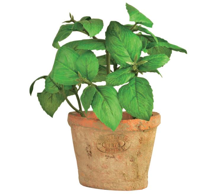 Artificial Basil Herb In Aged Terracotta Pot - Small