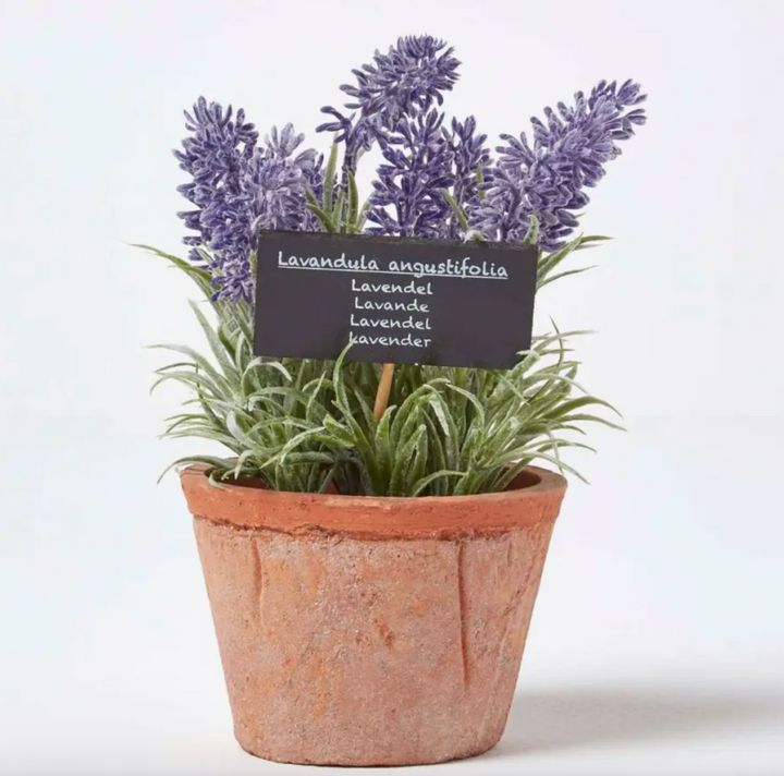 Artificial Lavender In Aged Terracotta Pot - Large