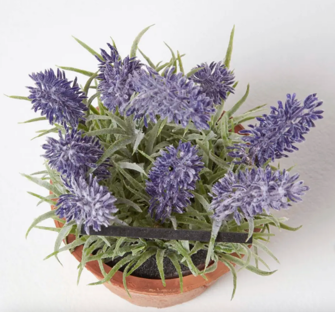 Artificial Lavender In Aged Terracotta Pot - Large