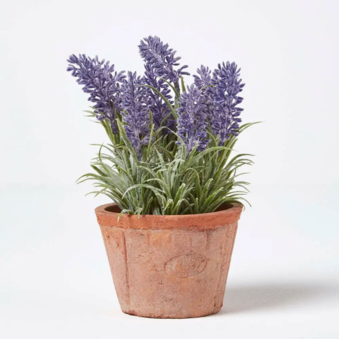 Artificial Lavender In Aged Terracotta Pot - Large