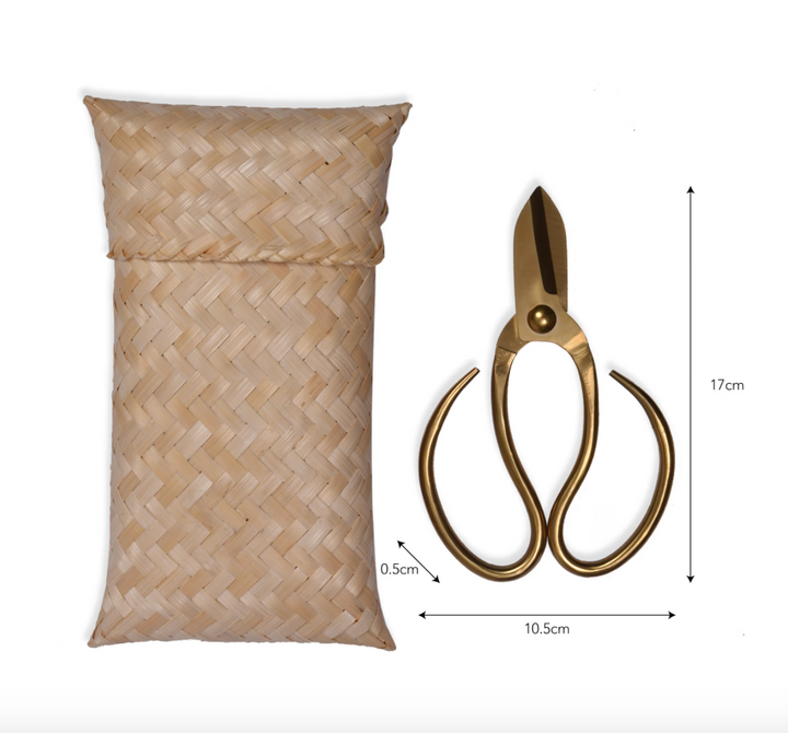 Garden Scissors In Bamboo Case