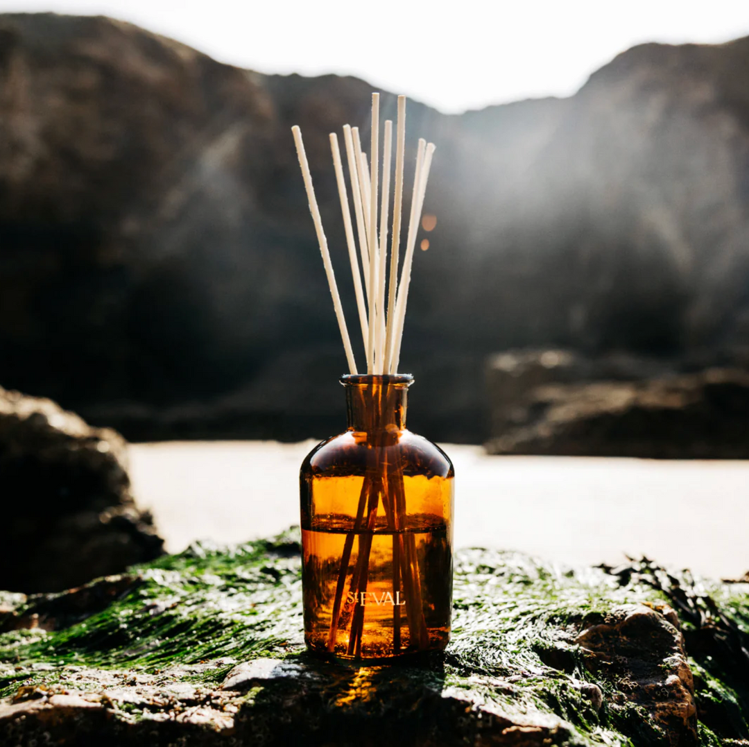 St Eval - Reed Diffuser -Sea Moss &amp; Driftwood