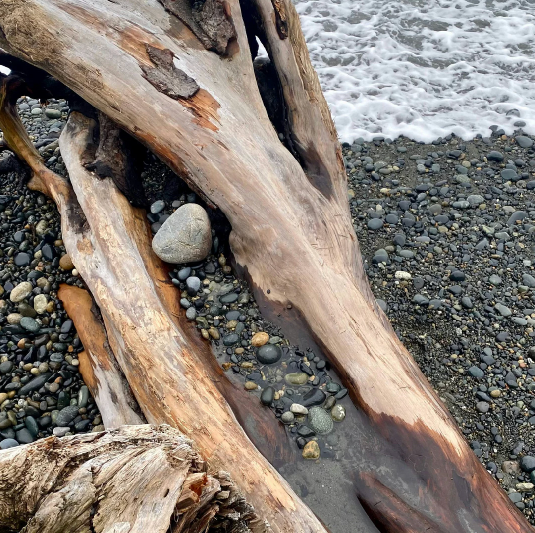 St Eval - Reed Diffuser -Sea Moss &amp; Driftwood