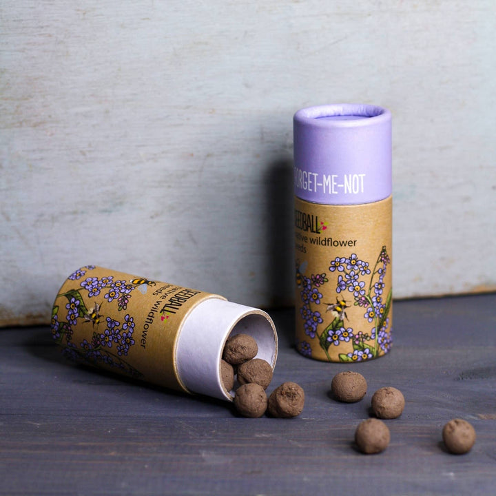 Wildflower Seedball Tube - Forget Me Not Seeds