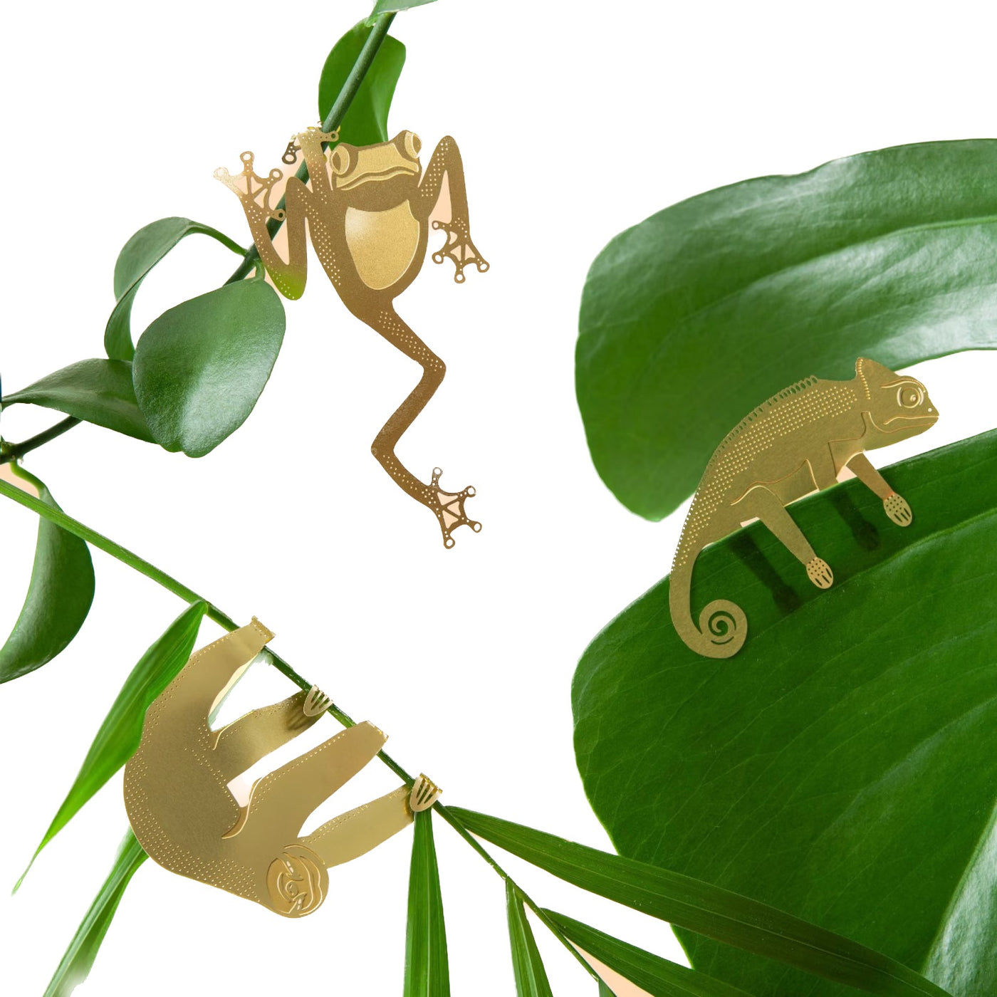 Another Studio - Frog - Plant Decoration