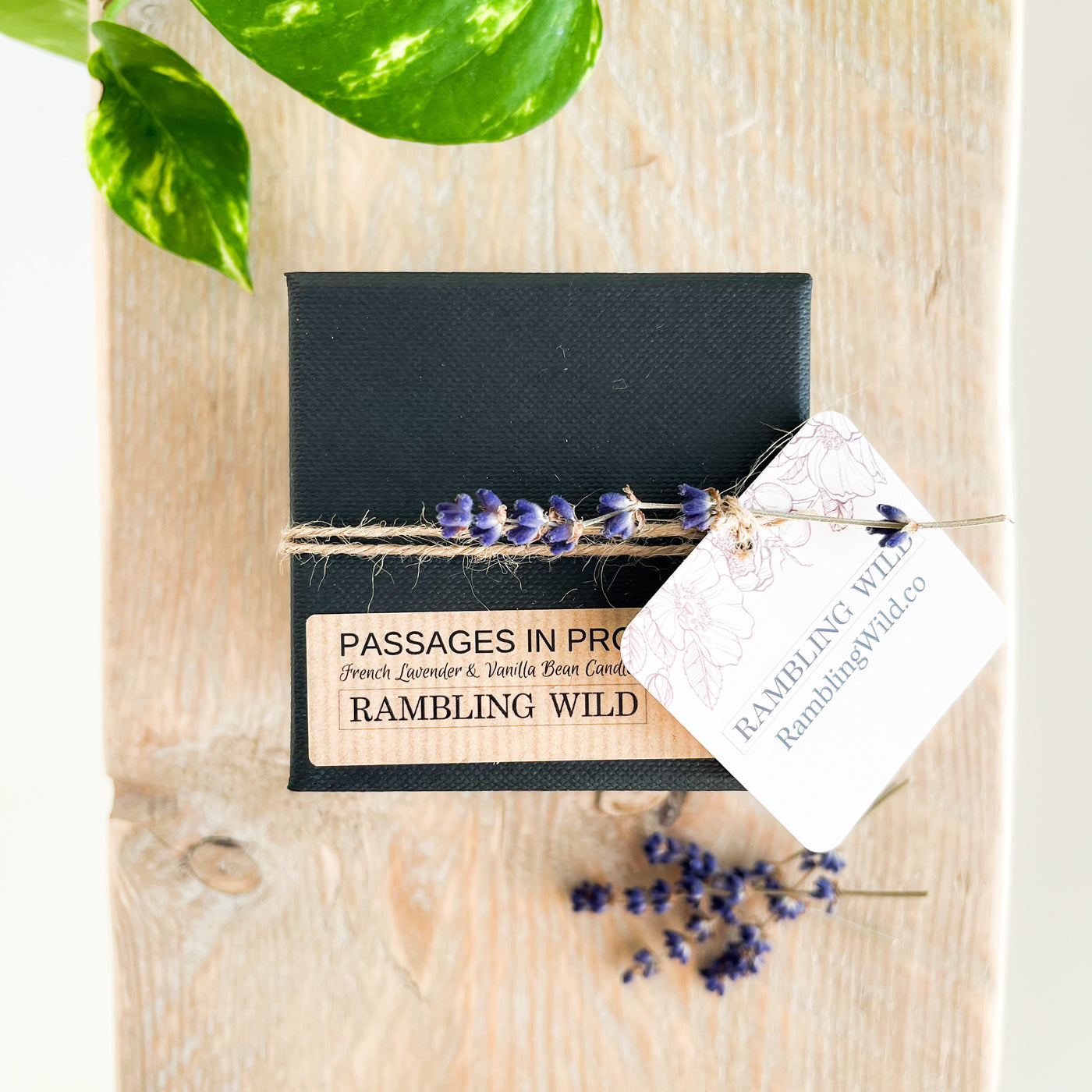 Rambling Wild Scented Candle - Passages In Provence